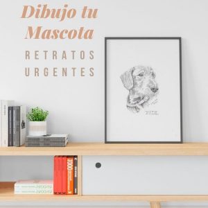 Dibujo tu mascota Retrato a lapiz - PRIORITY