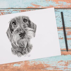 Retrato de mascota a lápiz grafito