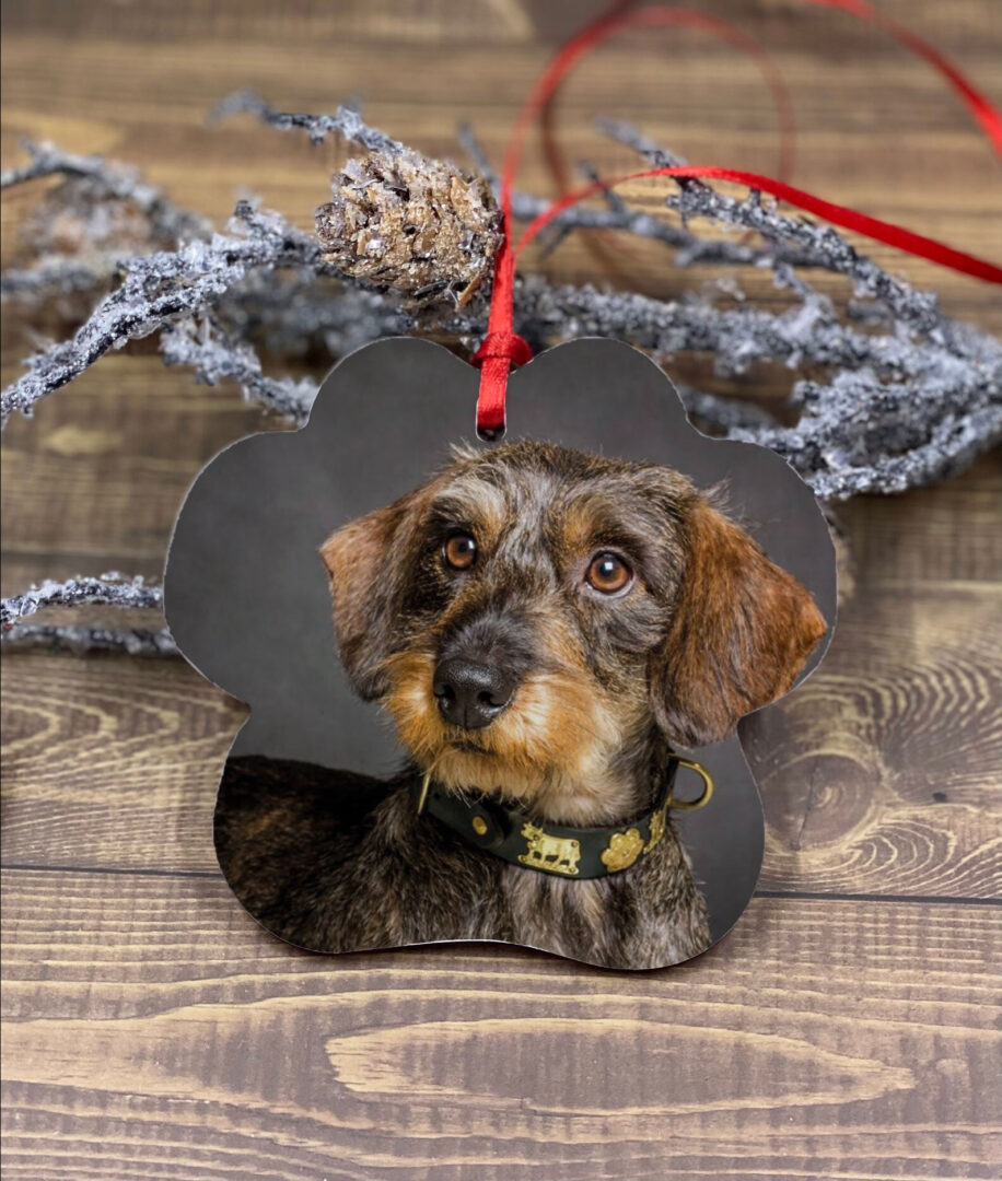 Adorno de navidad personalizado con foto de mascota